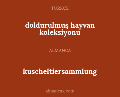 kuscheltiersammlung - doldurulmuş hayvan koleksiyonu