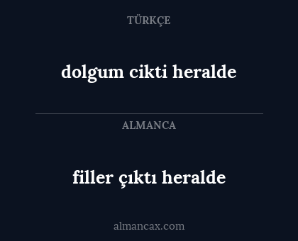 filler çıktı heralde - dolgum cikti heralde