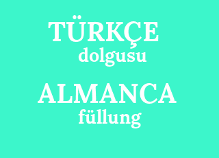 dolgusu-f%C3%BCllung.png