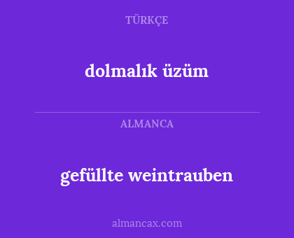 dolmalık üzüm - gefüllte weintrauben