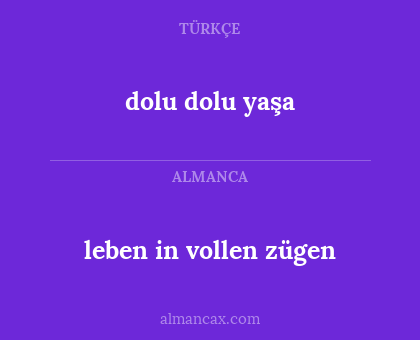 leben in vollen zügen - dolu dolu yaşa