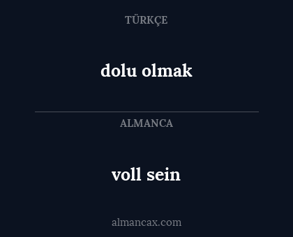 voll sein - dolu olmak
