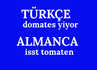 domates+yiyor-isst+tomaten.png