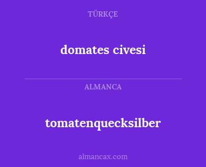 domates civesi - tomatenquecksilber