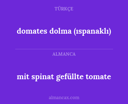 mit spinat gefüllte tomate - domates dolma (ıspanaklı)