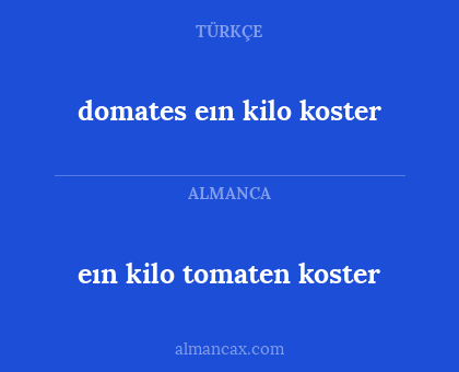 domates eın kilo koster - eın kilo tomaten koster