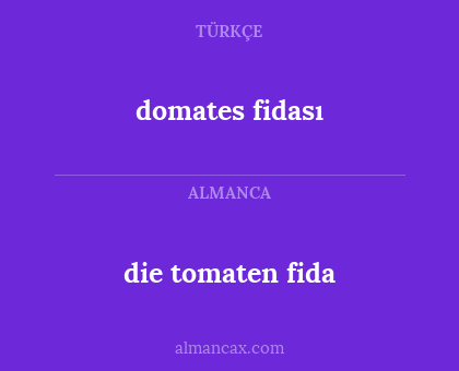 die tomaten fida - domates fidası