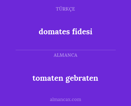 domates fidesi - tomaten gebraten