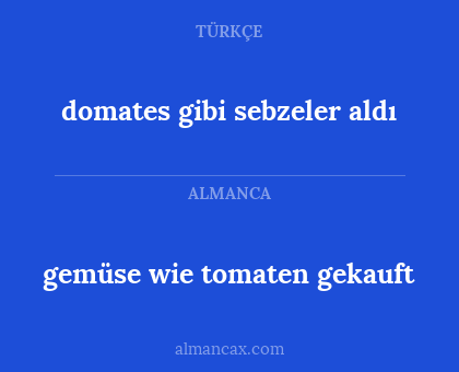 domates gibi sebzeler aldı - gemüse wie tomaten gekauft