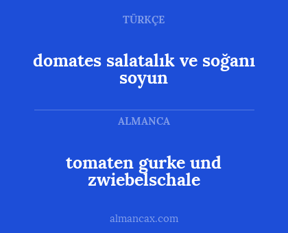tomaten gurke und zwiebelschale - domates salatalık ve soğanı soyun