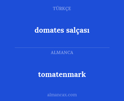 tomatenmark - domates salçası