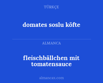 fleischbällchen mit tomatensauce - domates soslu köfte