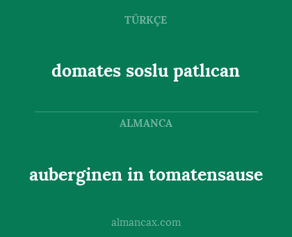 auberginen in tomatensause - domates soslu patlıcan