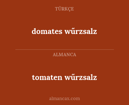 domates wűrzsalz - tomaten wűrzsalz