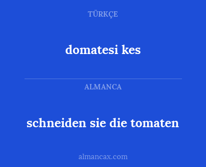 schneiden sie die tomaten - domatesi kes