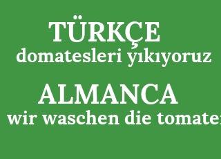 tomat+y%C4%B1k%C4%B1yoruz-wir+waschen+die+tomaten.png