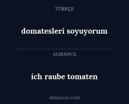 domatesleri soyuyorum - ich raube tomaten