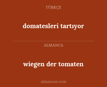 wiegen der tomaten - domatesleri tartıyor
