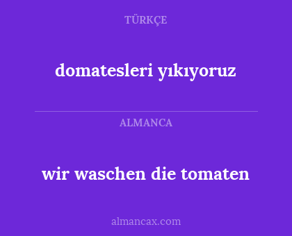 domatesleri yıkıyoruz - wir waschen die tomaten