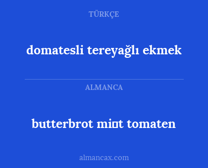 domatesli tereyağlı ekmek - butterbrot mi̇t tomaten