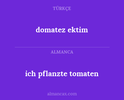 domatez ektim - ich pflanzte tomaten