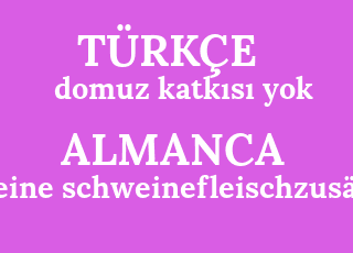domuz+katk%C4%B1s%C4%B1+yok-keine+schweinefleischzus%C3%A4tze.png