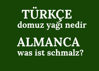 domuz+ya%C4%9F%C4%B1+nedir-was+ist+schmalz%3F.png