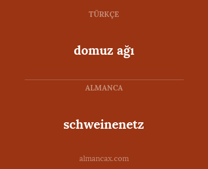 domuz ağı - schweinenetz
