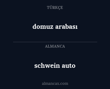 schwein auto - domuz arabası