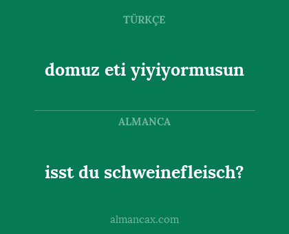 isst du schweinefleisch? - domuz eti yiyiyormusun