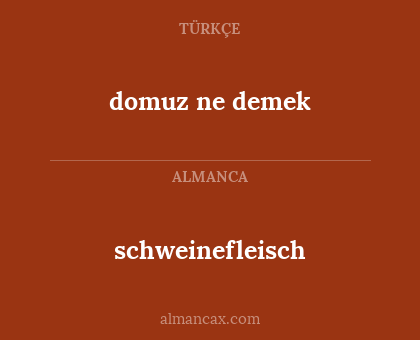 schweinefleisch - domuz ne demek