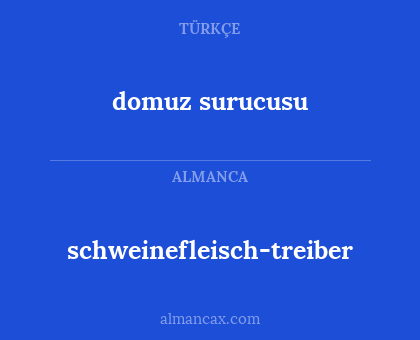 schweinefleisch-treiber - domuz surucusu