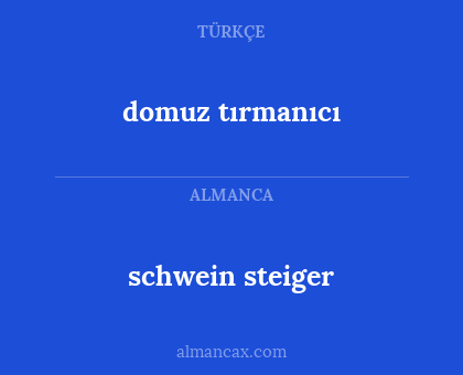 domuz tırmanıcı - schwein steiger