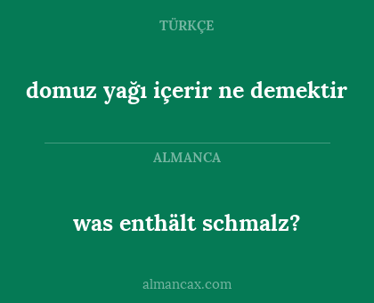 domuz yağı içerir ne demektir - was enthält schmalz?