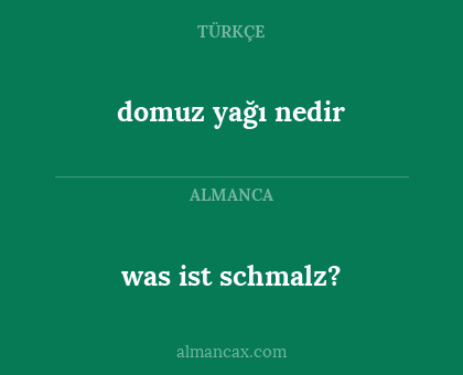 was ist schmalz? - domuz yağı nedir