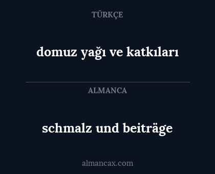 schmalz und beiträge - domuz yağı ve katkıları