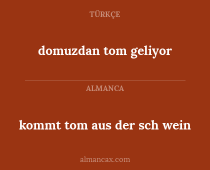 kommt tom aus der sch wein - domuzdan tom geliyor