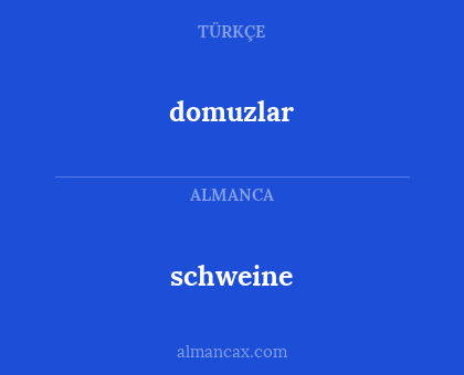 schweine - domuzlar