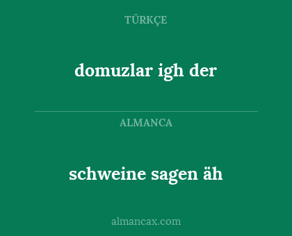 schweine sagen äh - domuzlar igh der