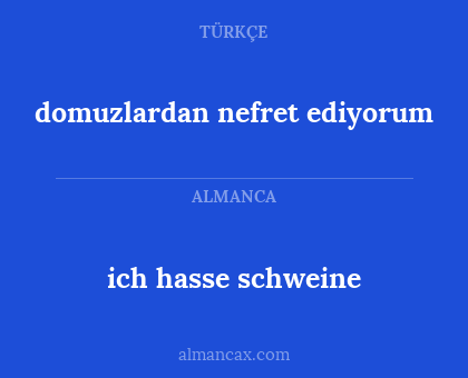 ich hasse schweine - domuzlardan nefret ediyorum
