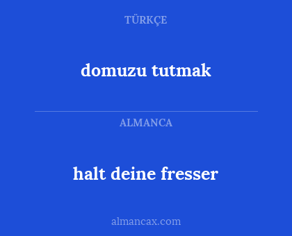 domuzu tutmak - halt deine fresser