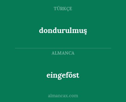 eingeföst - dondurulmuş