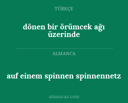dönen bir örümcek ağı üzerinde - auf einem spinnen spinnennetz