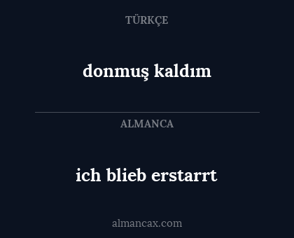donmuş kaldım - ich blieb erstarrt