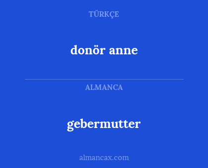 gebermutter - donör anne