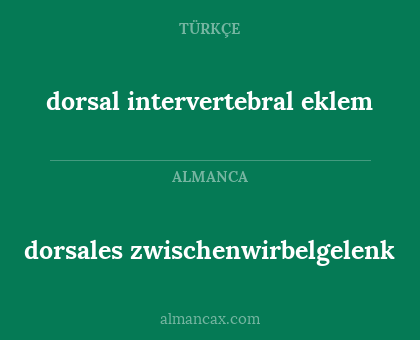 dorsales zwischenwirbelgelenk - dorsal intervertebral eklem