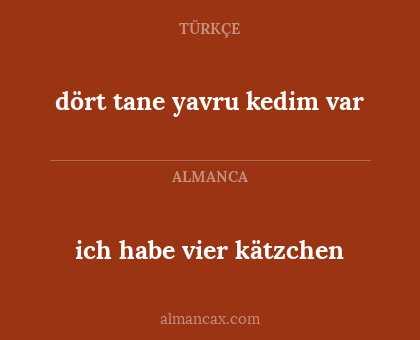 ich habe vier kätzchen - dört tane yavru kedim var