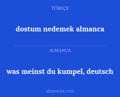dostum nedemek almanca - was meinst du kumpel, deutsch