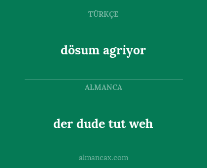 dösum agriyor - der dude tut weh