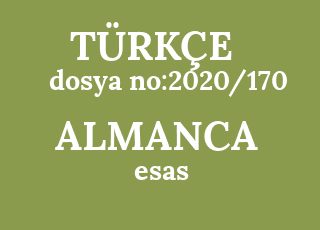 dosya+no%3A2020%2F170-esas-aktenzeichen%3A2020%2F170-main.png